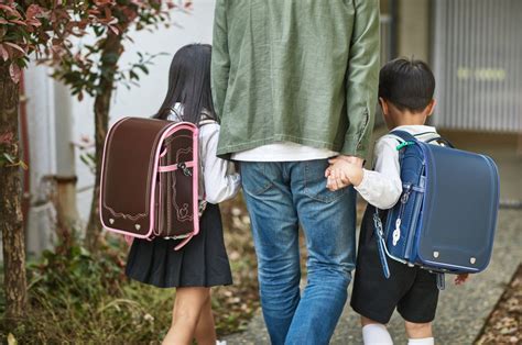 bringing fake bag in japan